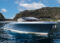 A sleek motorboat with a polished wooden deck. Photo Source - Riva