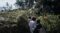 A group of people walking through dense, green vegetation in a forest, with large spider webs hanging between trees. Photo Source: Alexis Huguet/Rainforest Foundation Norway.