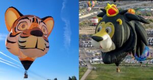 The two special shaped balloons, Simba the Lion and Axel the Tiger.