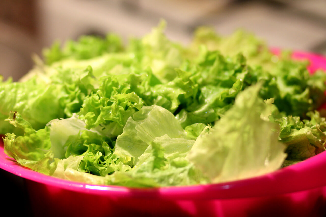 Representative Image. A pink bowl filled with fresh green lettuce leaves. Photo Source - Pxhere (CCO 1.0)