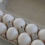 White eggs in a carton. Photo Source: Marina Shemesh (CC BY-NC 2.0)