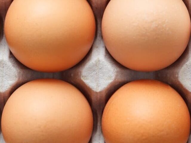 Representative Image. Set of white and brown chicken eggs in container.