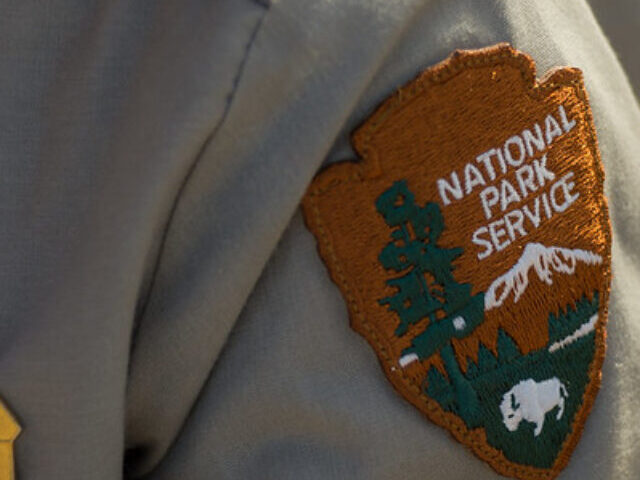 Representative Image: NPS/Kurt Moses. Photo Source: Joshua Tree National Park (CC BY 2.0)