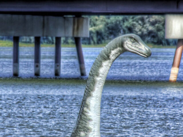 Nessie Spotted in 2025; Advanced Search Initiated (1)