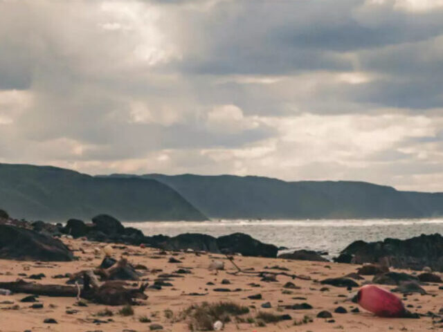 There is not only a lot of plastic waste floating in the oceans, which is washed up on beaches around the world, but also large quantities of microplastics. Photo Source: Christopher Politano/Pexels.com