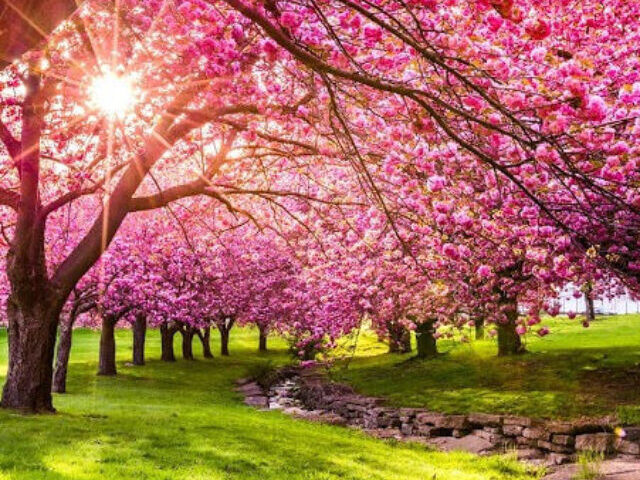 Spring Equinox 2025 Unequal Daylight Explained (8)