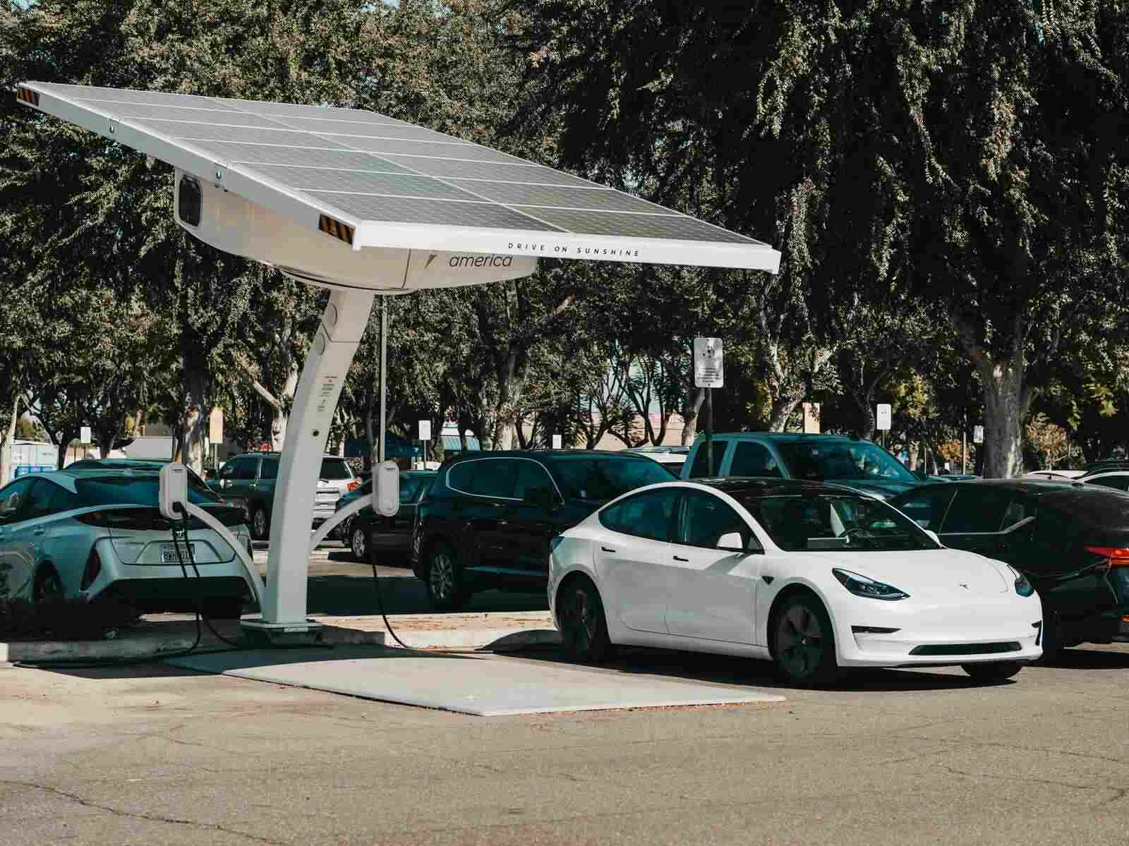 Representative Image: Solar Panel. Photo Source: Kindel Media (Pexels)