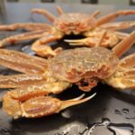 Representative Image. Bering Sea snow crab. Photo Source: NOAA Fisheries