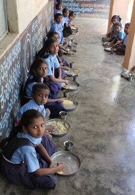 🍳 EGGS BOOST SCHOOL PERFORMANCE & HEALTH