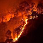 Representative Image. (Bandipur National Park wildfire. Photo Source- Naveen N Kadalaveni (CC BY-SA 4.0)
