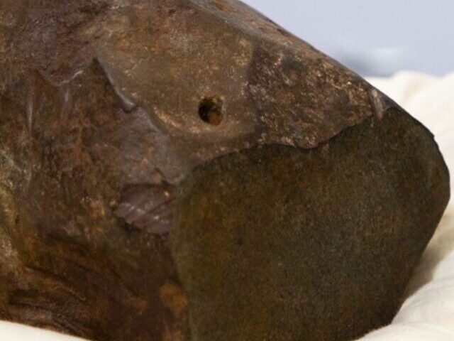 17 kg Mary borough Meteorite Reveals 4.6 Billion-Year Secret (18)