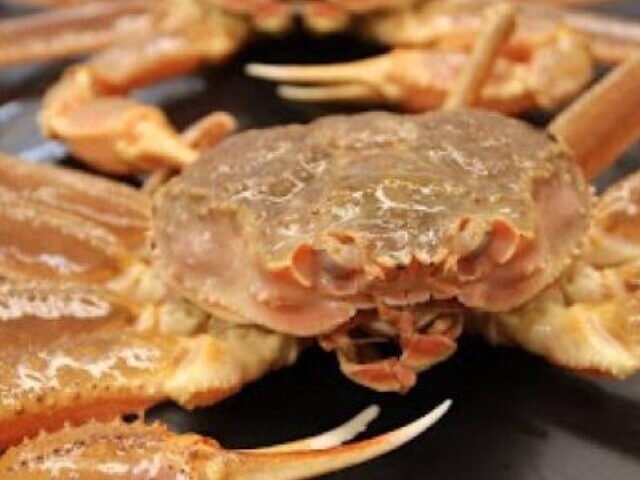 Representative Image. Bering Sea snow crab. Photo Source: NOAA Fisheries