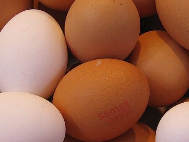 A pile of white and brown eggs, some of which have red ink stamps on them. Photo Source: 16:9clue (CC BY 2.0)