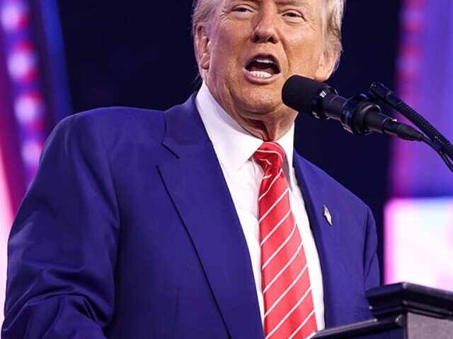Representative Image Donald Trump, Photo Source: Gage Skidmore (CC BY-SA 2.0)