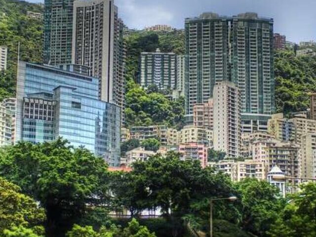 Japan Moves 619 Trees, Plants 2,304 in Tokyo Project (2)