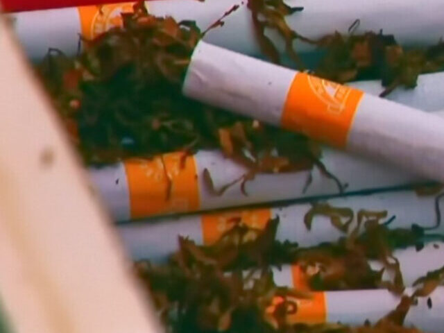 Queensland Enforces $161K Fines for Illicit Tobacco Sales (8)