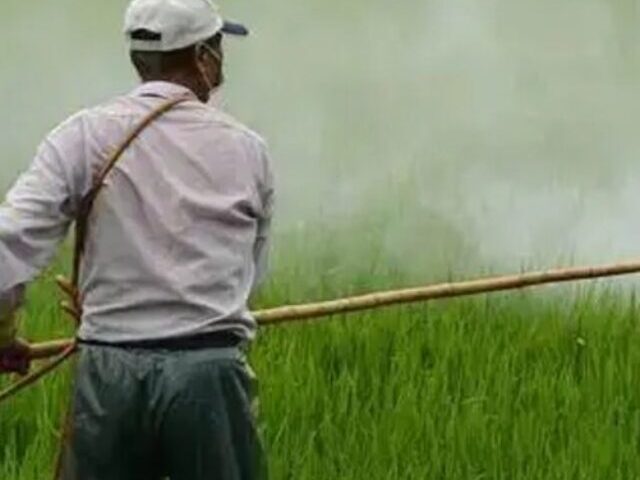 UK Exported 8,500 Tonnes of Banned Pesticides in 2023 (10)