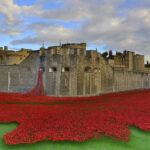 Poppies At The Tower Of London 23-8-2014 Photo Source: Martin Pettitt (CC BY 2.0)