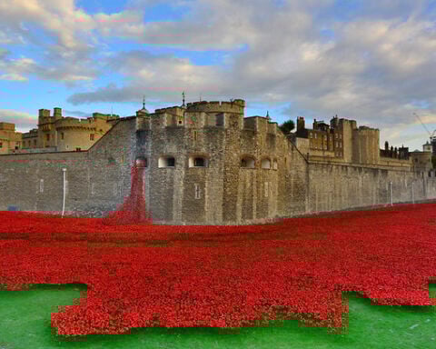 Poppies At The Tower Of London 23-8-2014 Photo Source: Martin Pettitt (CC BY 2.0)