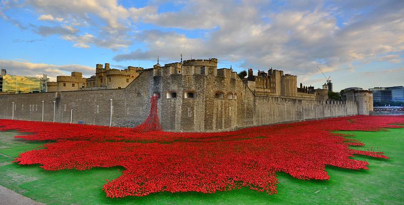 Poppies At The Tower Of London 23-8-2014 Photo Source: Martin Pettitt (CC BY 2.0)