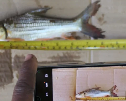 Endangered-Fish