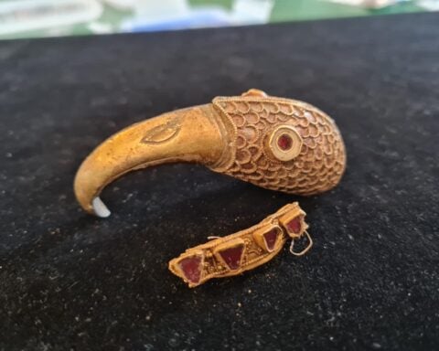 Gold Raven Head. Photo Source: Minelab Metal Detectors (Facebook)
