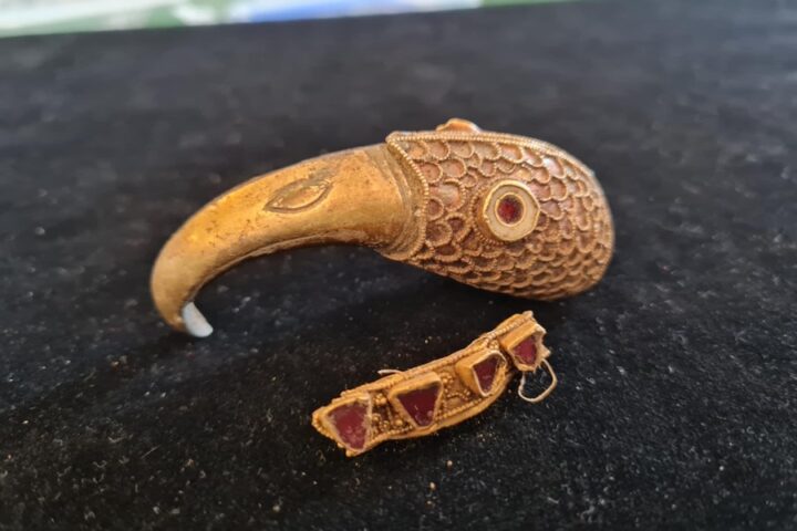Gold Raven Head. Photo Source: Minelab Metal Detectors (Facebook)