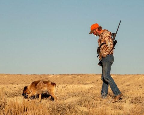 Representative Image Hunter with hunting dog, Photo Source: Strange Biology (CC BY 2.0)