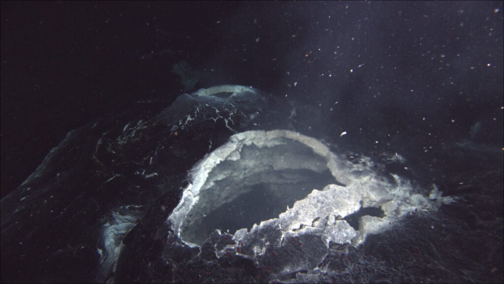 A “snowblower” hydrothermal vent spews hot water and white bits of bacterial mat that are blooming in the chemical-rich hot-spring water, showing that the lava flow that was erupted in 2011 at Axial Seamount is still cooling. Photo Source- Bill Chadwick, Oregon State University (CC BY-SA 2.0)