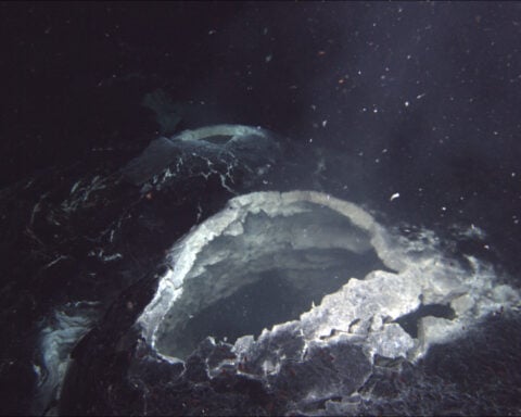 A “snowblower” hydrothermal vent spews hot water and white bits of bacterial mat that are blooming in the chemical-rich hot-spring water, showing that the lava flow that was erupted in 2011 at Axial Seamount is still cooling. Photo Source- Bill Chadwick, Oregon State University (CC BY-SA 2.0)