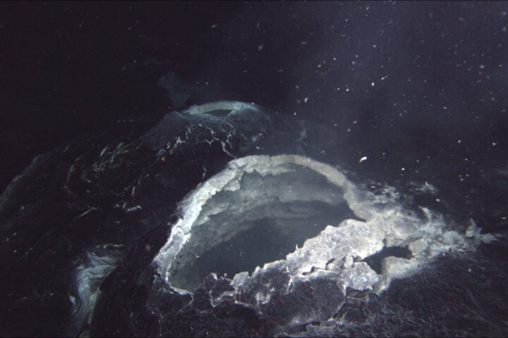 A “snowblower” hydrothermal vent spews hot water and white bits of bacterial mat that are blooming in the chemical-rich hot-spring water, showing that the lava flow that was erupted in 2011 at Axial Seamount is still cooling. Photo Source- Bill Chadwick, Oregon State University (CC BY-SA 2.0)