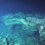 Axial Seamount. Photo Source: Smithsonian Institution