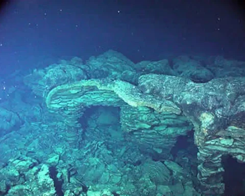 Axial Seamount. Photo Source: Smithsonian Institution