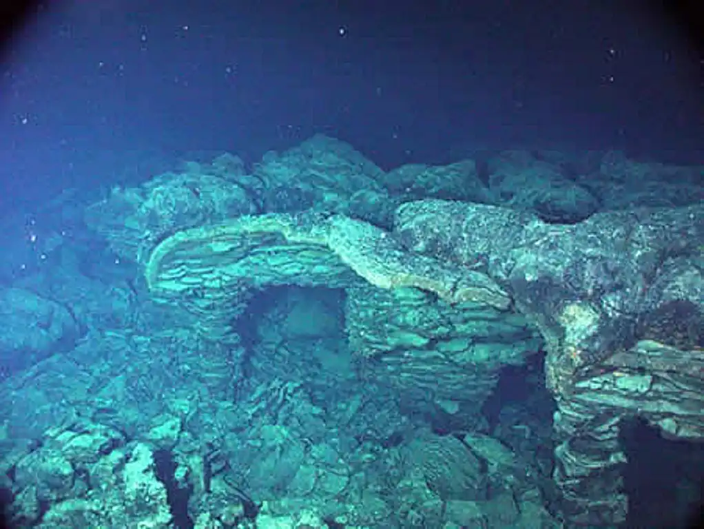 Axial Seamount. Photo Source: Smithsonian Institution