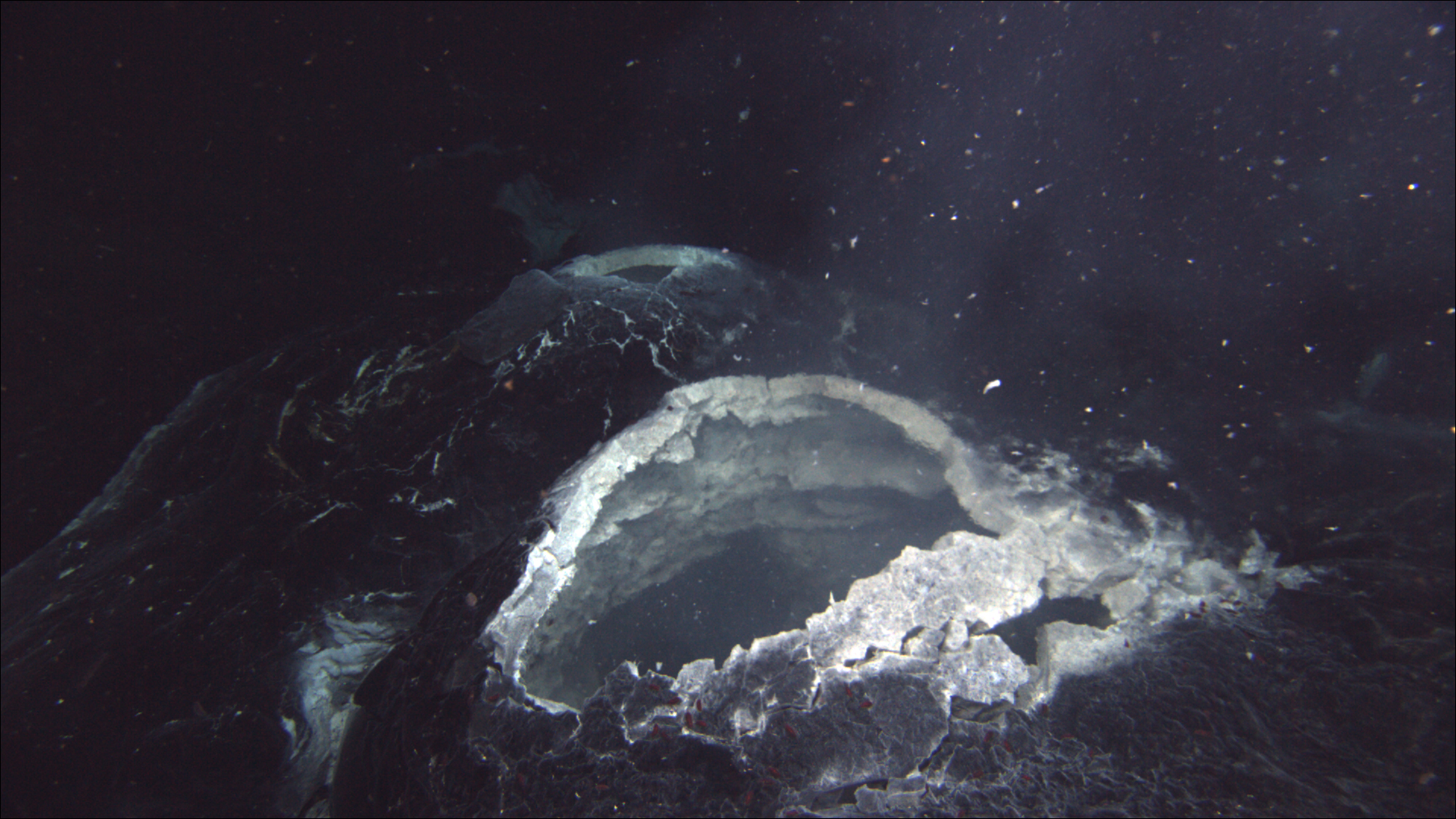 A “snowblower” hydrothermal vent spews hot water and white bits of bacterial mat that are blooming in the chemical-rich hot-spring water, showing that the lava flow that was erupted in 2011 at Axial Seamount is still cooling. Photo Source- Bill Chadwick, Oregon State University (CC BY-SA 2.0)