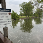 Representative image :- Sign on bridge - Photo Source :- Wikimedia Commons (CC BY-SA 4.0)