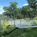 Fertilizer helps grasslands grow strong, Photo Source: Binghamton University