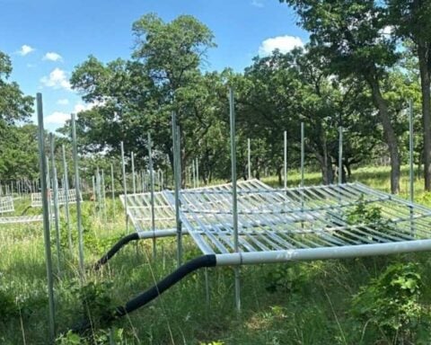 Fertilizer helps grasslands grow strong, Photo Source: Binghamton University