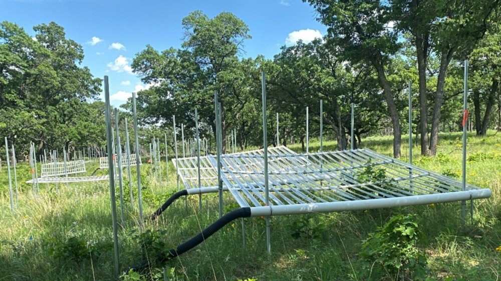 Fertilizer helps grasslands grow strong, Photo Source: Binghamton University