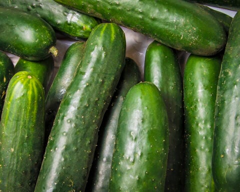 Representative image:- Vender cucumbers - Photo Source:- Flickr(U.S Department of Agriculture)