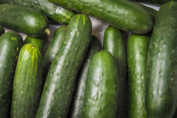Representative image:- Vender cucumbers - Photo Source:- Flickr(U.S Department of Agriculture)