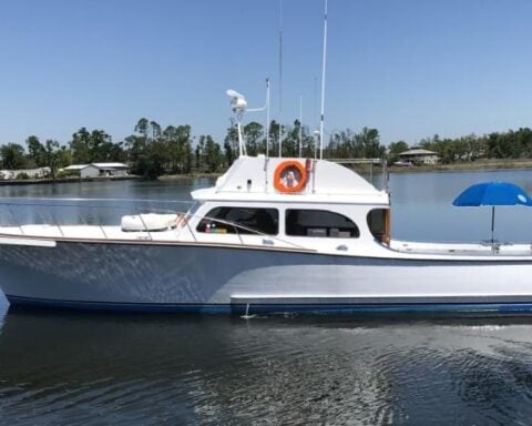 Florida Fisherman Convicted for Killing Dolphins