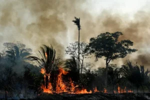 Representative image:- Forest fire in Bolivia- Photo Source:- Flicker (EU Protection Humanitarian Aid)