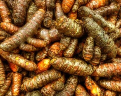 Lakadong Turmeric. Photo Source: arbyreed (CC BY-NC-SA 2.0)