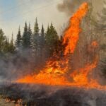Munger Shaw Fire