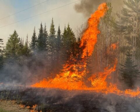 Munger Shaw Fire