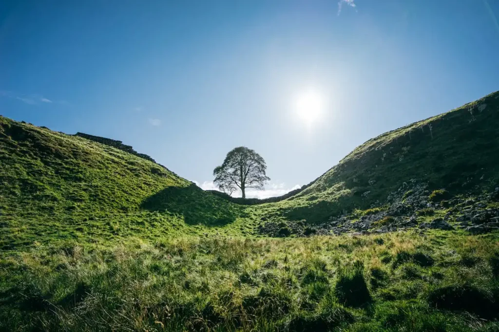 Sycamore Gap Northumberland National Park. Photo Source: Clément Proust