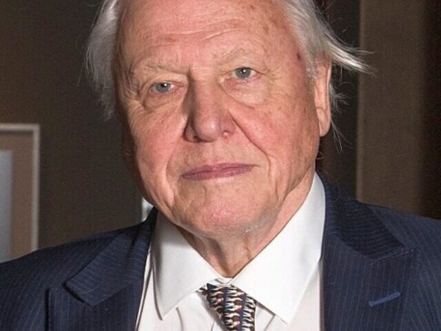 cropped-David-Attenborough-at-Wildlife-Legacy-and-Climate-Leadership-8.jpg