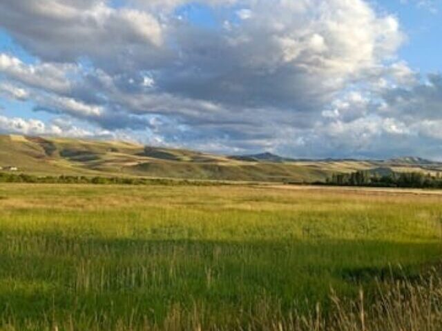 cropped-Fertilizer-Keeps-Grasslands-Growing-in-Drought-2.jpg