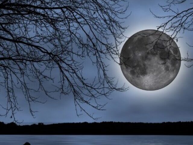 cropped-Flower-Micromoon-Mays-Full-Moon-14-Smaller-30-Dimmer-9.jpg